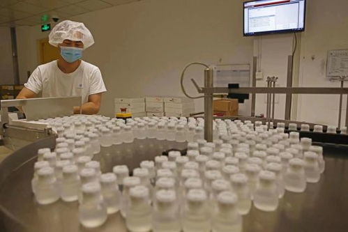 GE醫療堅定扎根中國信心，以更大規模參展第五屆進博會